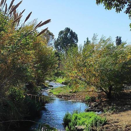 Villa By The River Facing The Hermon In 다프나 외부 사진