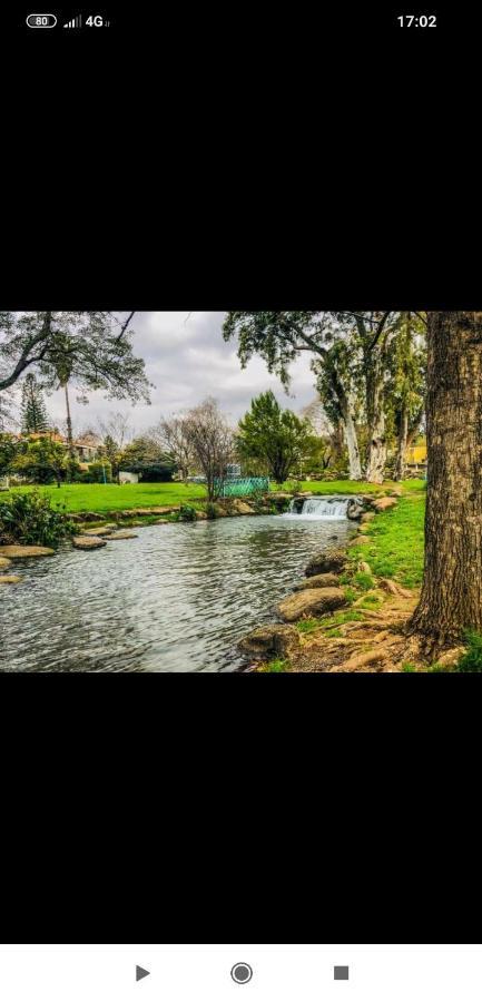 Villa By The River Facing The Hermon In 다프나 외부 사진