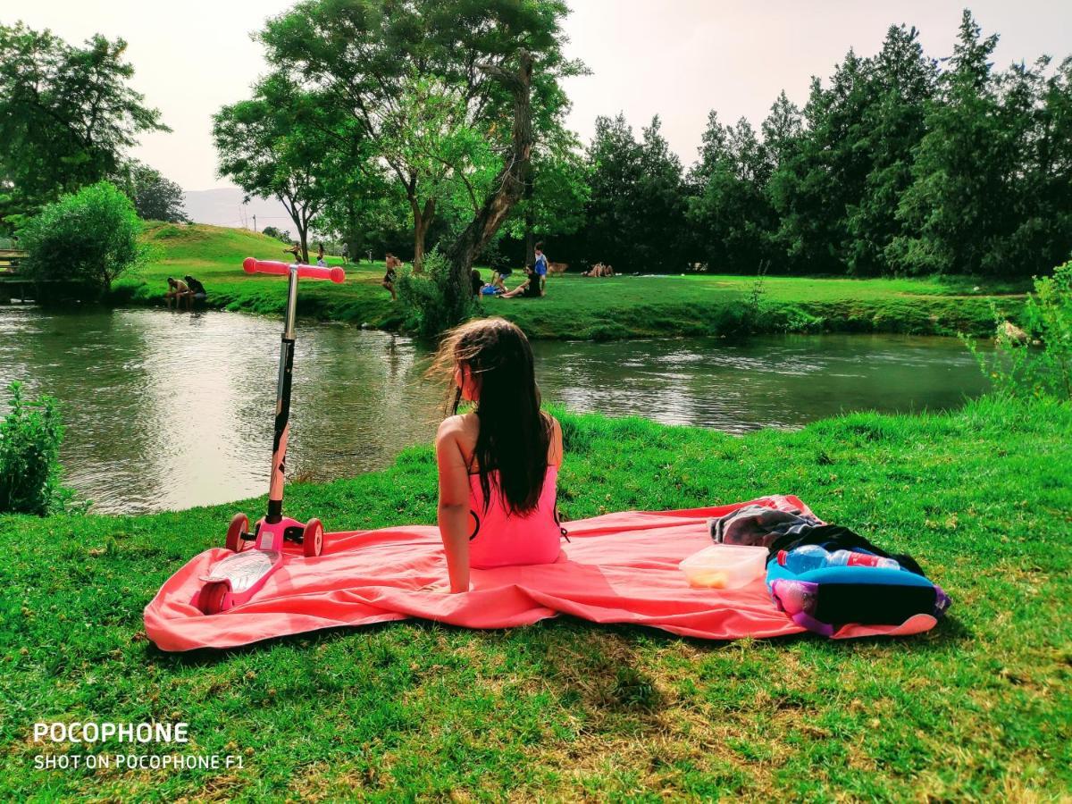 Villa By The River Facing The Hermon In 다프나 외부 사진