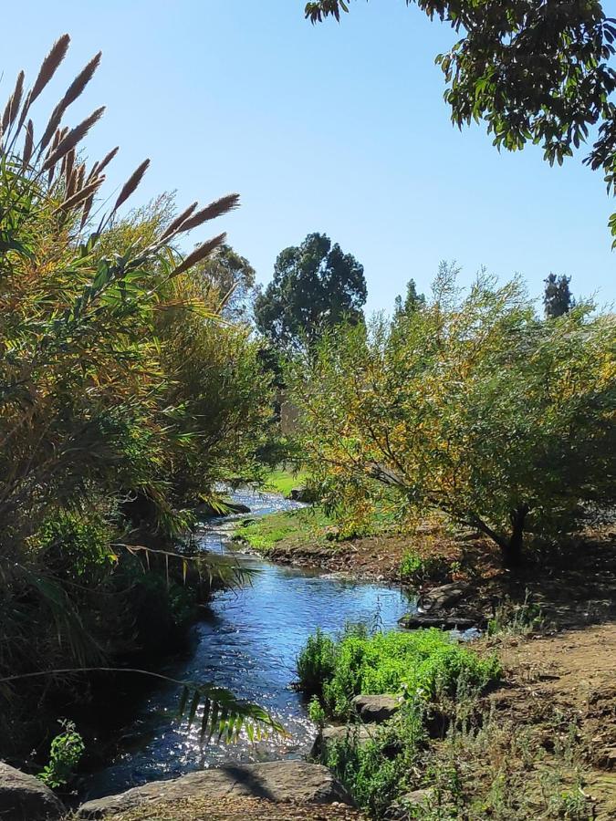 Villa By The River Facing The Hermon In 다프나 외부 사진