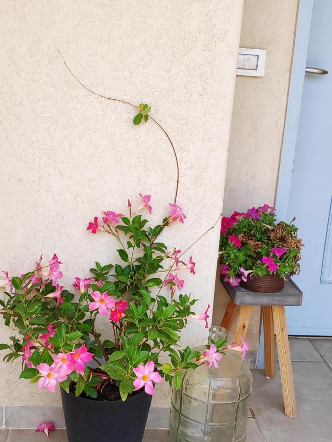 Villa By The River Facing The Hermon In 다프나 외부 사진
